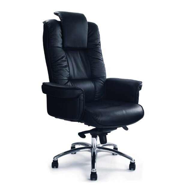 Executive Chair with Headrest
