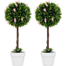 60cm Plant