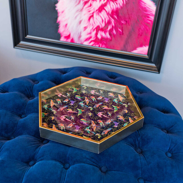 LLB - Hexagon tray- Birdity Absurdity