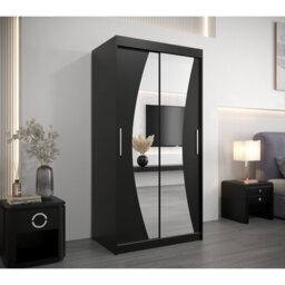 Aayon 2 Door Solid + Manufactured Wood Wardrobe