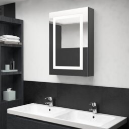 Barfuss 500mm W 700mm H Surface Frameless Medicine Cabinet with Mirror and Fixed Shelves