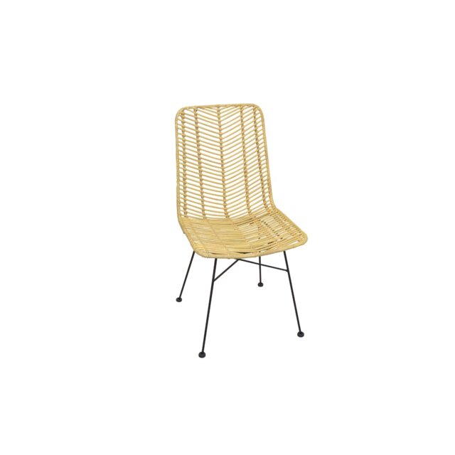Peachey Dining Chair