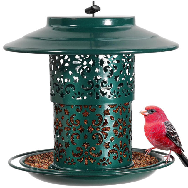 Metal Hanging Decorative Bird Feeder