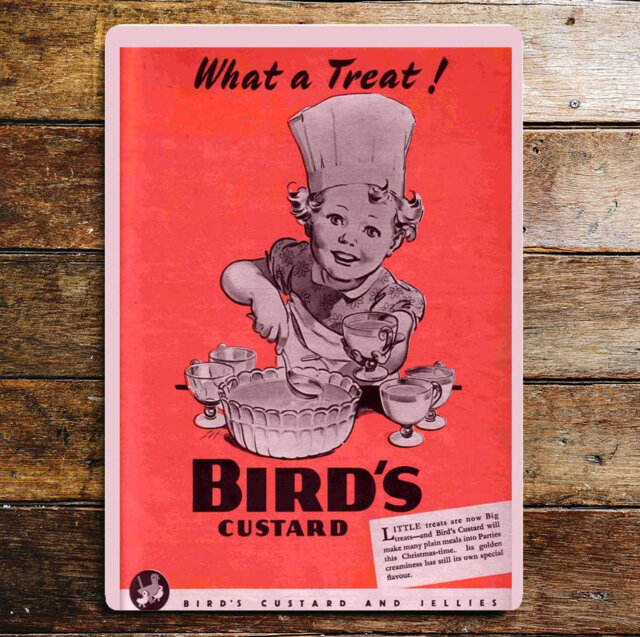 Birds Custard What a Treat Metal Wall DÃ©cor