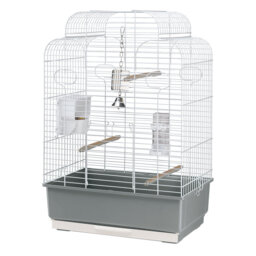 75.5cm Table Top Bird Cage with Perch