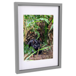 "3D Box Photo Frame with A4 Mount - A3 (12"" x 17"")"
