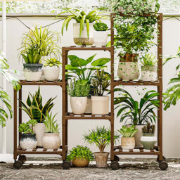 Plant Stand