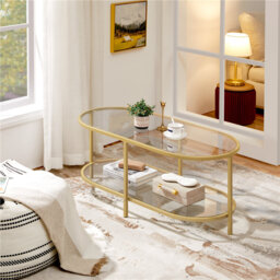 Glass Oval Coffee Table