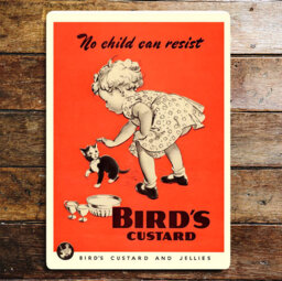 Birds Custard No Child Can Resist Kitten Wall Décor