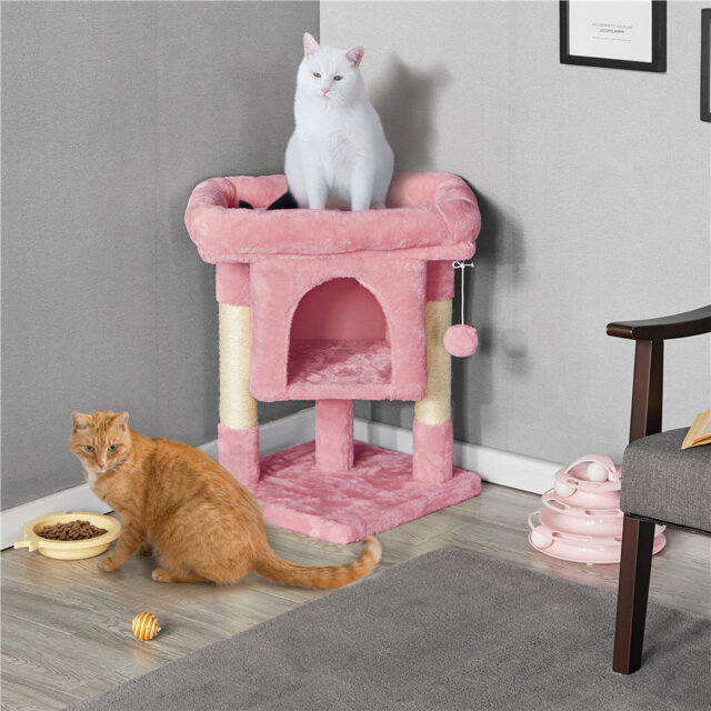 color 59cm Cat Tree