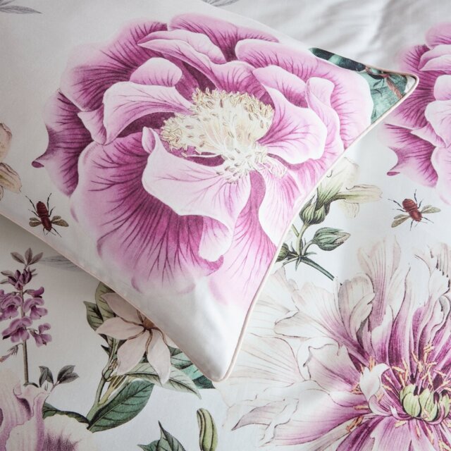 Krista 200 Floral 100% Cotton Pillowcase