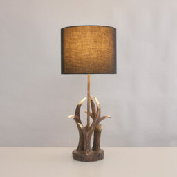 Desk Lamp