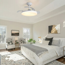 Ceiling Fan with LED Lights