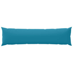 Light Blue Cushion