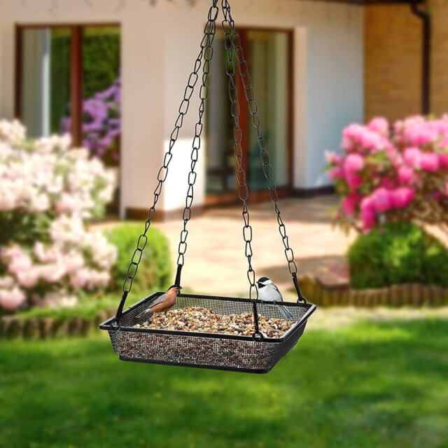Anjonette Metal Hanging Tray Bird Feeder