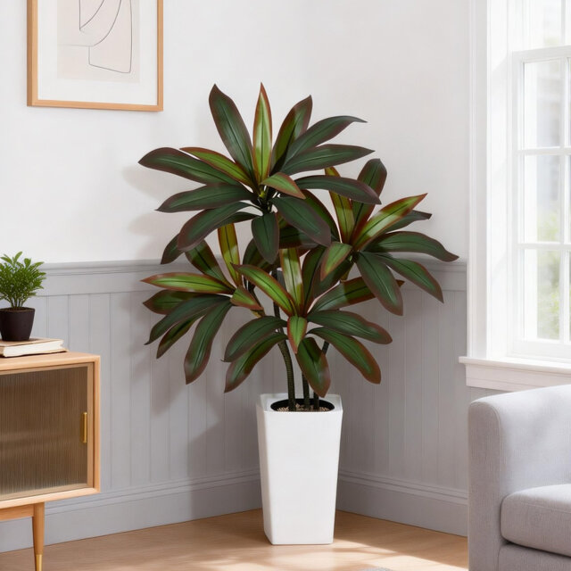 monstera peru Monstera Peru L with puckered leaves main image 0