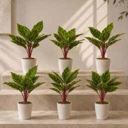 Pack Of 6 X Artificial Potted Foliage Plants 38cm Faux Ficus Plant in Pot Liner