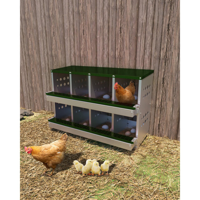 4m² Chicken Coop