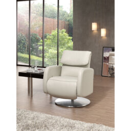 Carlisa 67cm Wide Swivel Standard Recliner