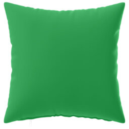 Cushion