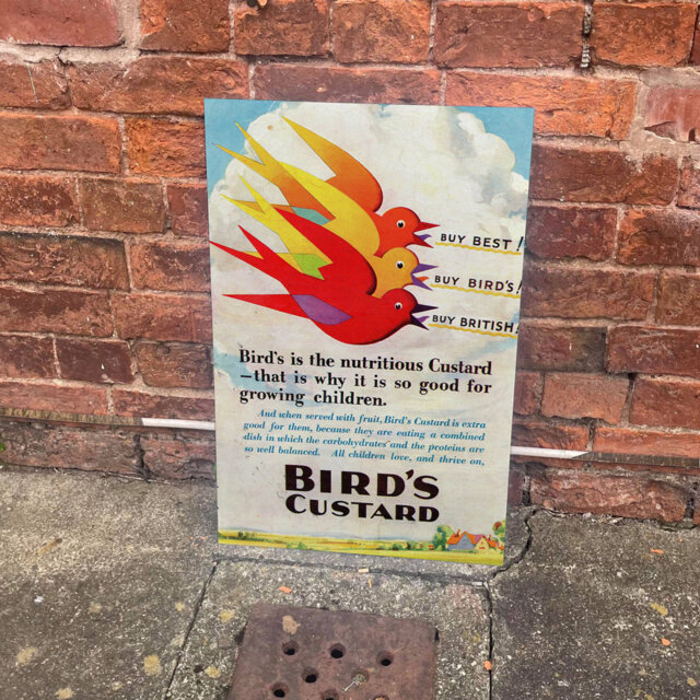 Birds Custard Buy Best Metal Wall DÃ©cor