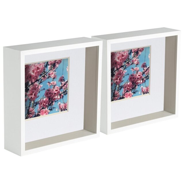 Bevelled Shadow Box Picture Frame with Mat