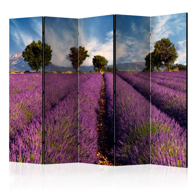 Room Divider - Lavender Field In Provence, France II [Room Dividers]