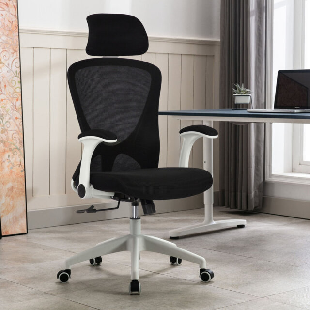 Kjeld Ergonomic Mesh Desk Chair by Wayfair