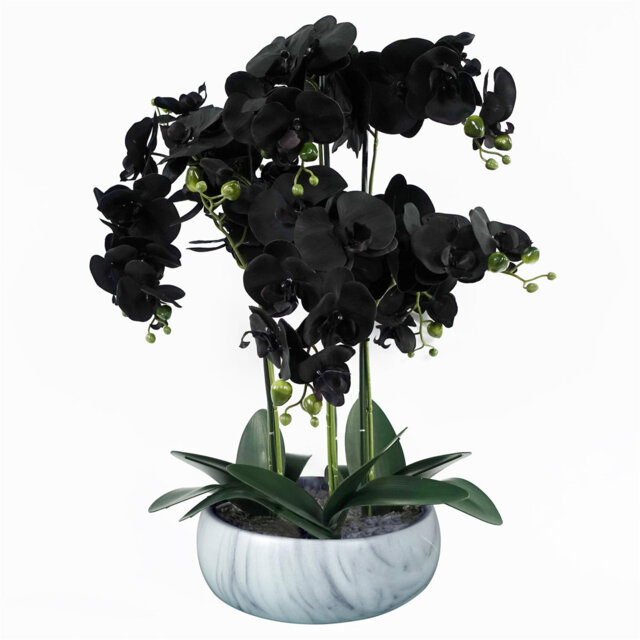 Orchids Plastic, Silk Artificial Arrangement in Planter