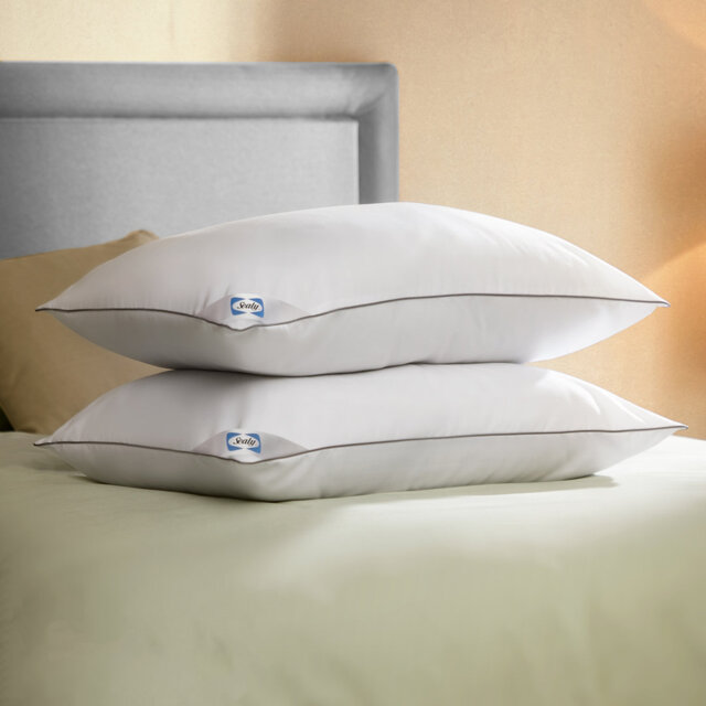 Sealy 2 Piece Anti Allergy Pillow (Set of 2)