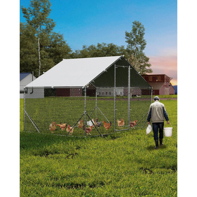 Chicken Coop