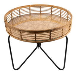 Warnick Glass Top End Table