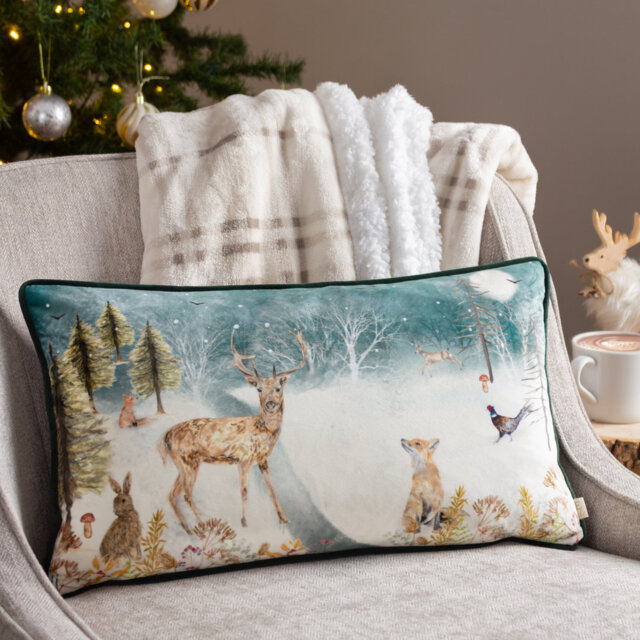 Teal Rectangular Cushion