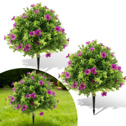 60cm Plant