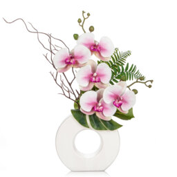 Caneshia Arrangement