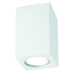 Bain Flush Mount