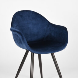 Feather 49cm H Velvet Upholstered Armchair
