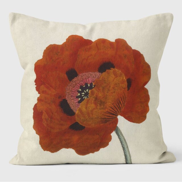 Eastern Poppy - Botanical Cushion