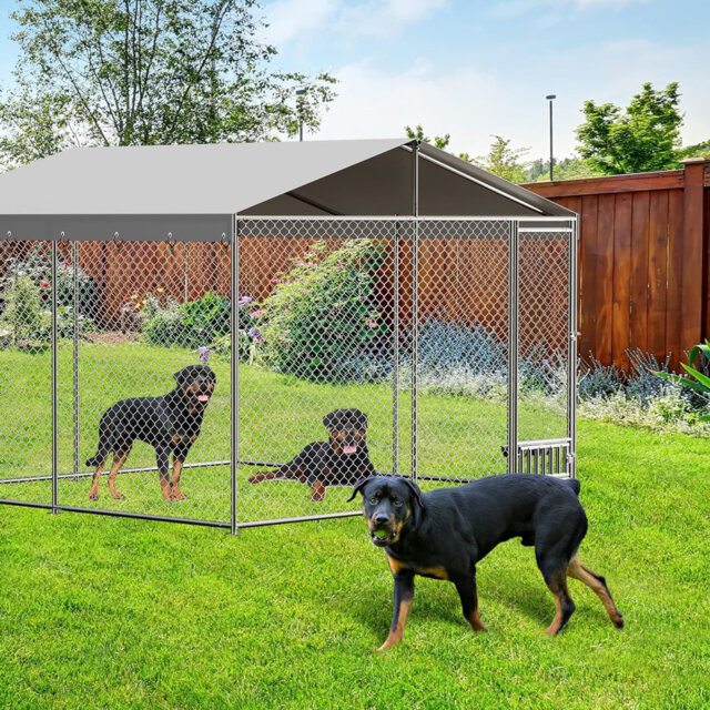 Outdoor Dog Kennel with Waterproof Canopy, Large Dog House with Feeding Doors, Large Dog Kennel for Outdoor Garden Backyard ï¼10Ã10Ã7FTï¼