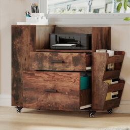 81 cm W 2 -Drawer - Drawer Wheels / Casters included Mobile Filing Cabinet