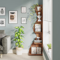 179cm H x 48cm W Corner Bookcase