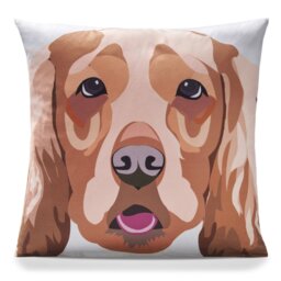 Ditoro Multicoloured Square Cushion