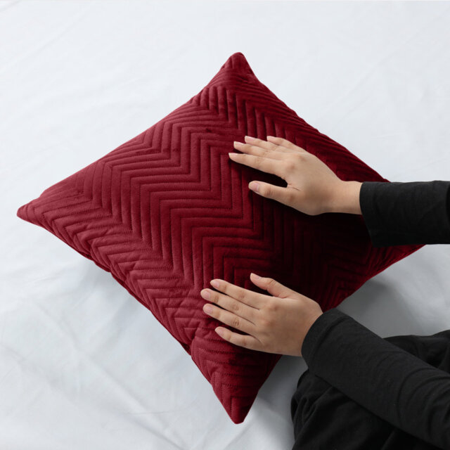Square Throw Luxury Embossed Pattern Velvet Cushions Protector Set Of 2