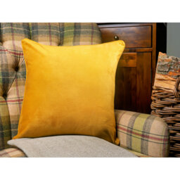 Hostivice Velvet Scatter Cushion Square Scatter Cushion Cover