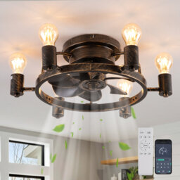 52 cm Farmhouse Reversible Caged Ceiling Fan with Light Kit and Remote