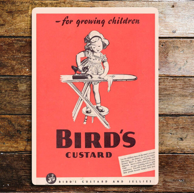 Birds Custard for Growing Children Metal Wall DÃ©cor