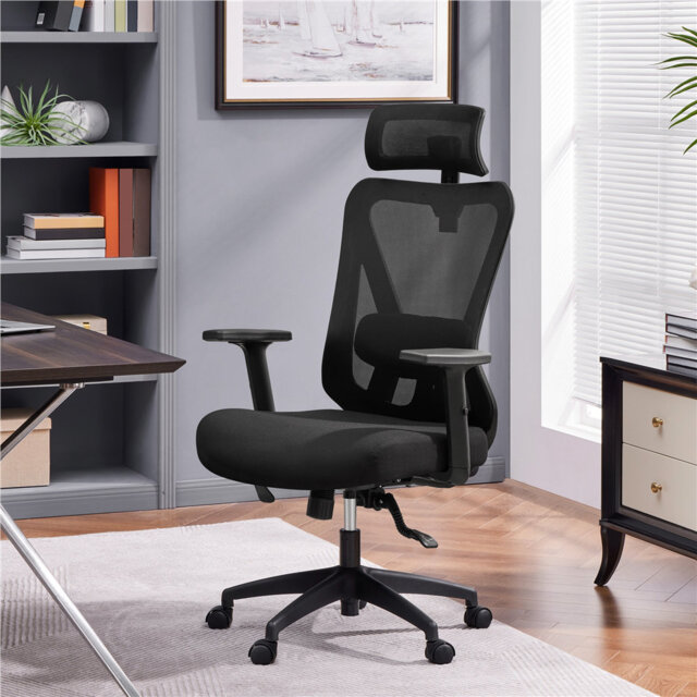 Ergonomic Office Chair with Adjustable Headrest, Armrest and Lumbar Support