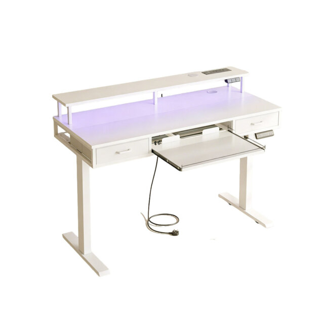 Height Adjustable Computer Desk, 120cm Electric Standing Desk with Drawers, with Keyboard Tray, LED Light, White