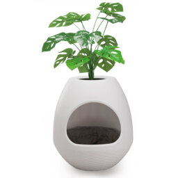 ABS Litter Box