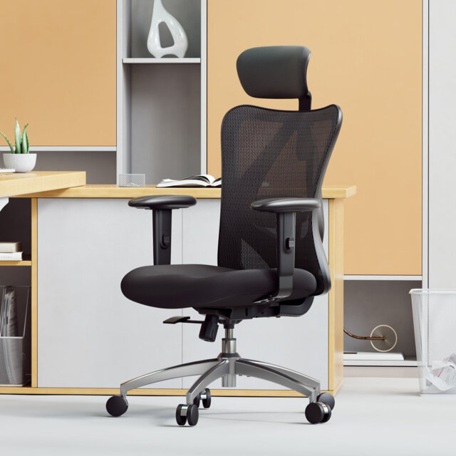 M18 Ergonomic Office Chair, with Adjstable Armrest and Lumbar support